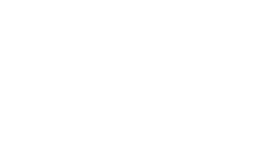 LifePoint Logo